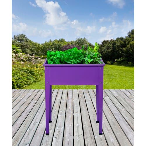 Floraworld Hochbeet Season Lila 60 cm x 30 cm x 80 cm