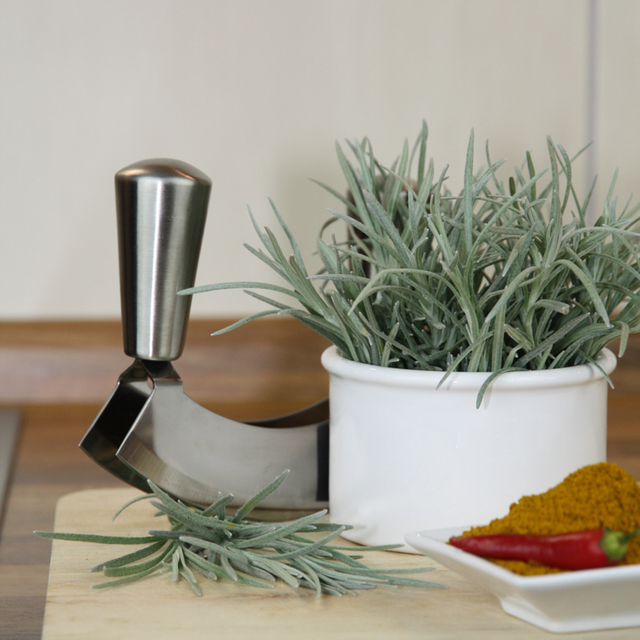 Blu Bio-Currykraut Topf-Ø ca. 12 cm Helichrysum