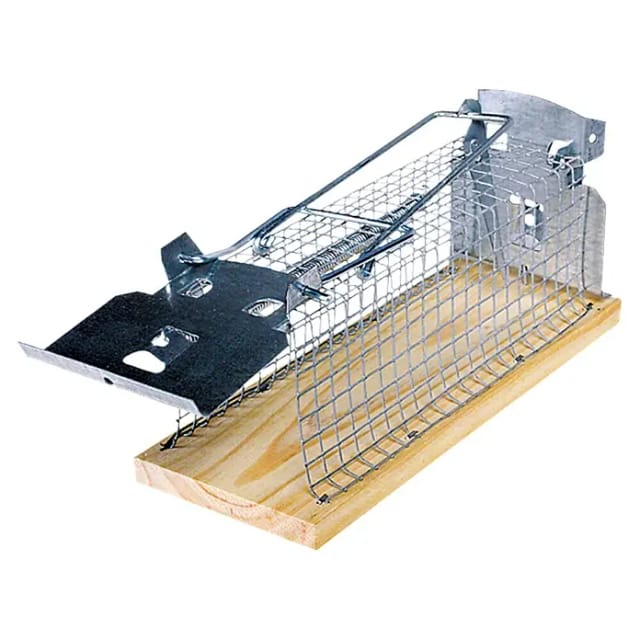 Swissinno Rattenkäfig eckig