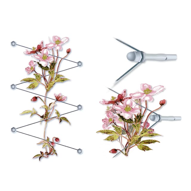 Floracord Rankhilfe Edelstahl