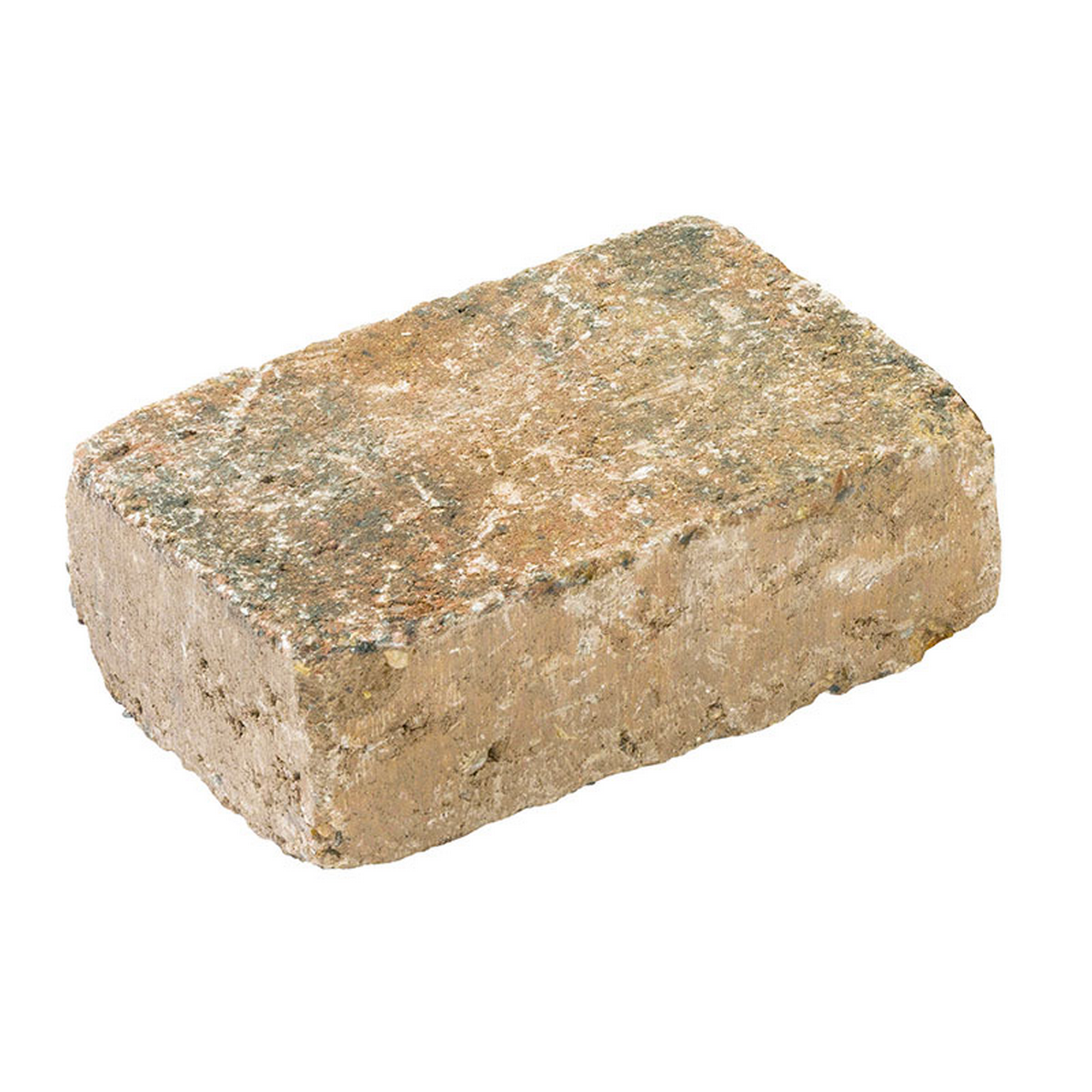 Diephaus Pflasterstein Collo Muschelkalk 21 x 14 x 7 cm