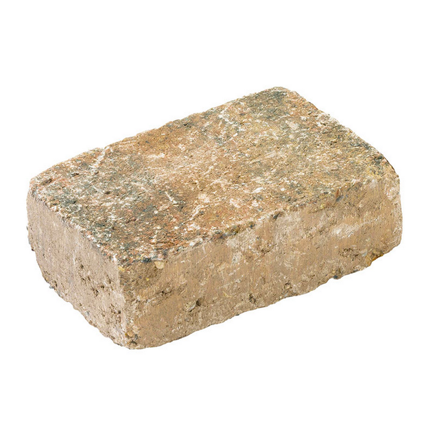 Diephaus Pflasterstein Collo Muschelkalk 21 x 14 x 7 cm