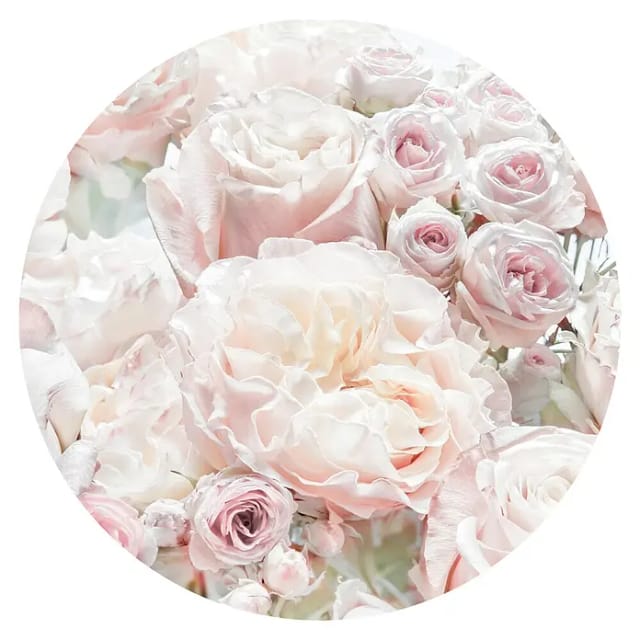 Komar Vliesfototapete Dot Pink and Cream Roses selbstklebend Ø 125 cm