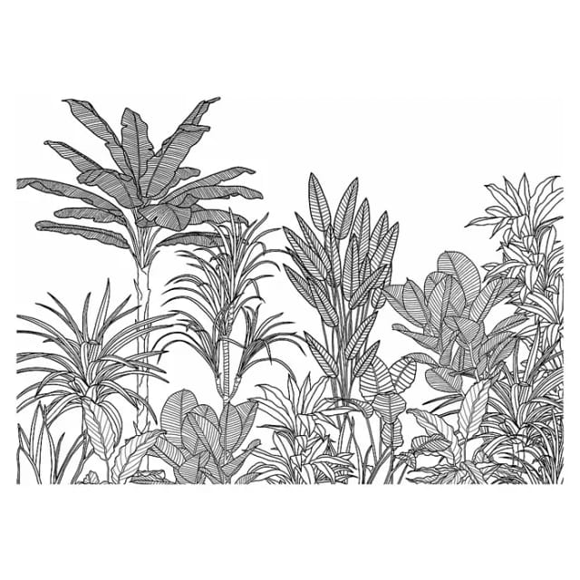 Komar Vliesfototapete Savanna 350 cm x 250 cm