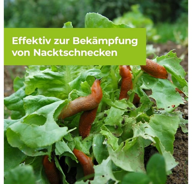 Protect Garden Protect MaXX Schneckenkorn FE 1,2 kg