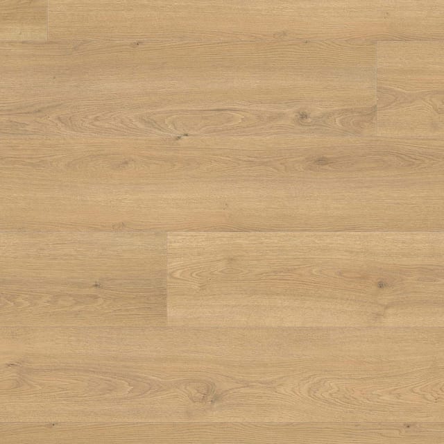 Living by Haro XL Laminat 8 mm Eiche Flavia Puro 220 cm