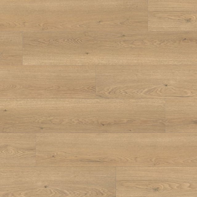 Living by Haro Laminat 8 mm Eiche Flavia Puro
