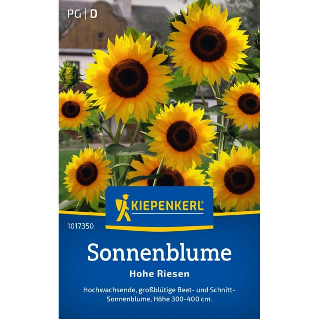 Kiepenkerl Sonnenblume Hohe Riesen Helianthus annuus