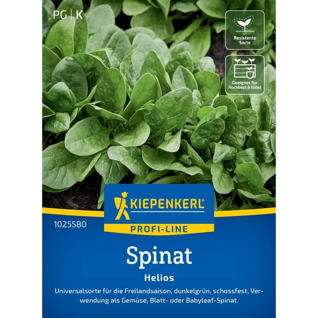 Kiepenkerl Profi-Line Spinat Helios F1-Hybride