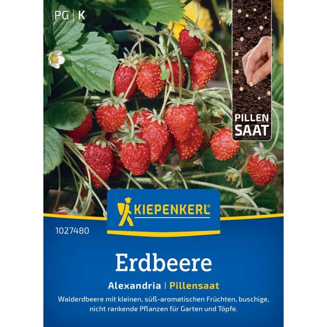 Kiepenkerl Profi-Line Walderdbeere Alexandria Pillensaat