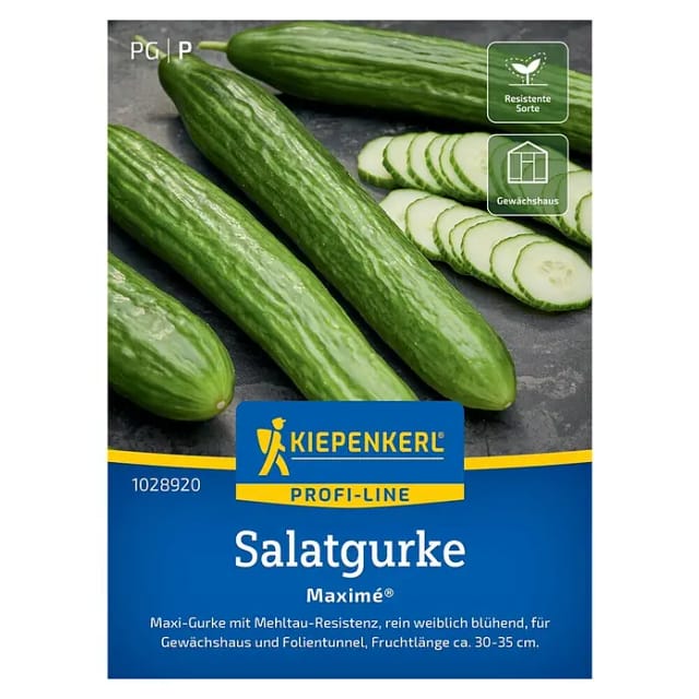 Kiepenkerl Profi-Line Salatgurke Maxime F1-Hybride