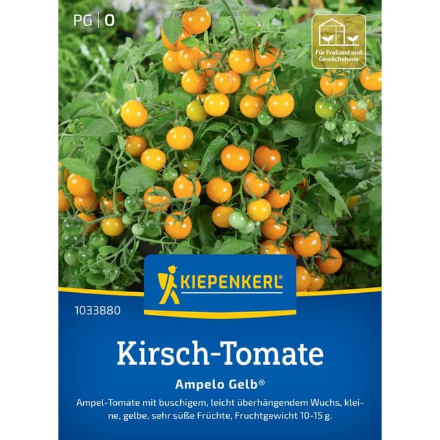 Kiepenkerl Profi-Line Kirsch-Tomate Ampelo Gelb F1-Hybride