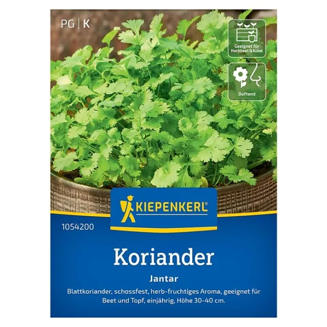 Kiepenkerl Profi-Line Koriander Jantar