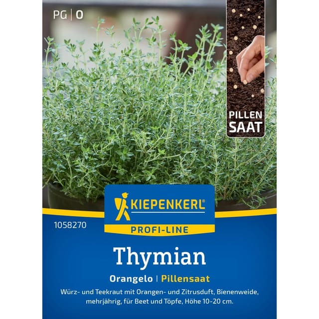 Kiepenkerl Profi-Line Thymian Orangelo Pillensaat