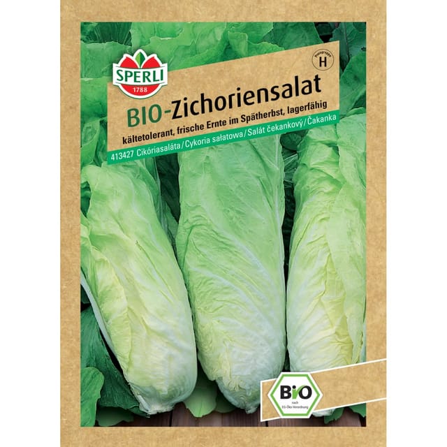 Sperli Bio Zichoriensalat