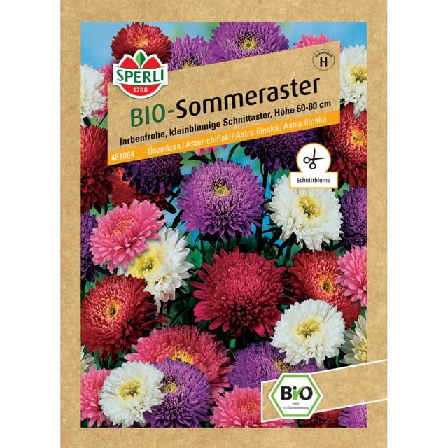 Sperli Bio Sommeraster Mischung Callistephus chinensis