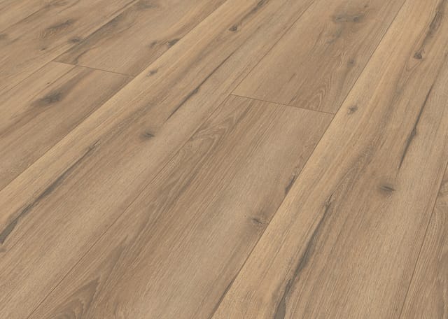 Classen HydroClick Taupeiche