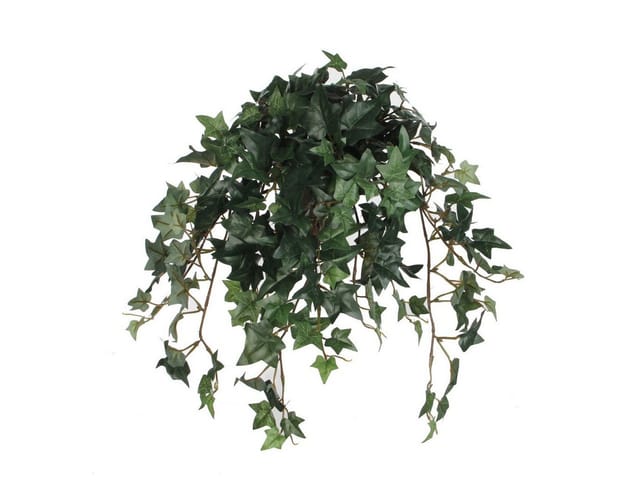Mica Decorations Kunstpflanze Efeu 45 x 25 x 25 cm