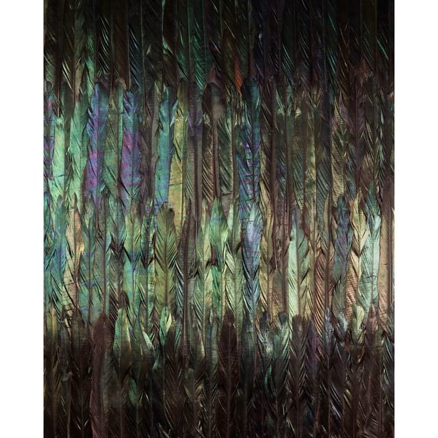 Komar Vliestapete Dark Wings 200 x 250 cm