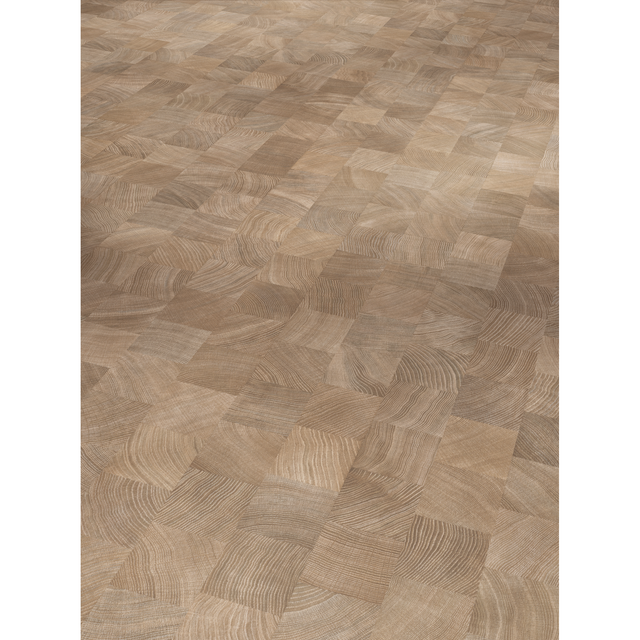 Parador Basic 400 Laminat 8 mm Wasserfest Eiche Hirnholz gekälkt