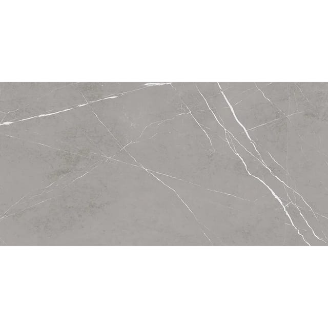 Bodenfliese Feinsteinzeug Grau Glasiert Poliert 60 cm x 120 cm