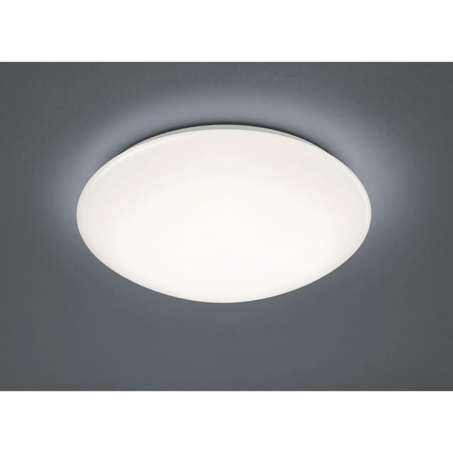 Reality LED-Deckenleuchte Putz Weiß 15 W Kunststoff