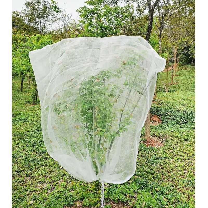 Insektennetz – Vogelschutznetz Für Obstbäume – Feinmaschig, 1,8 M X 1,8 M, Mit Kordelzug Und Reißverschluss – 1 Stück
