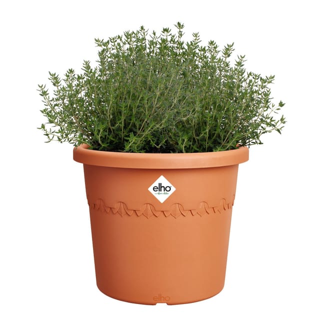 Elho Blumentopf Algarve Cilindro Ø 25 cm x 21 cm Terrakotta