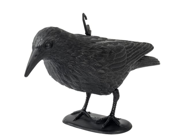 Gardigo Taubenschreck