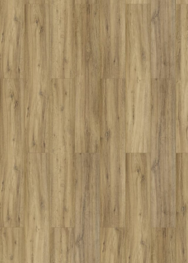 Classen Laminat 8 mm Wasserfest Oak Natural