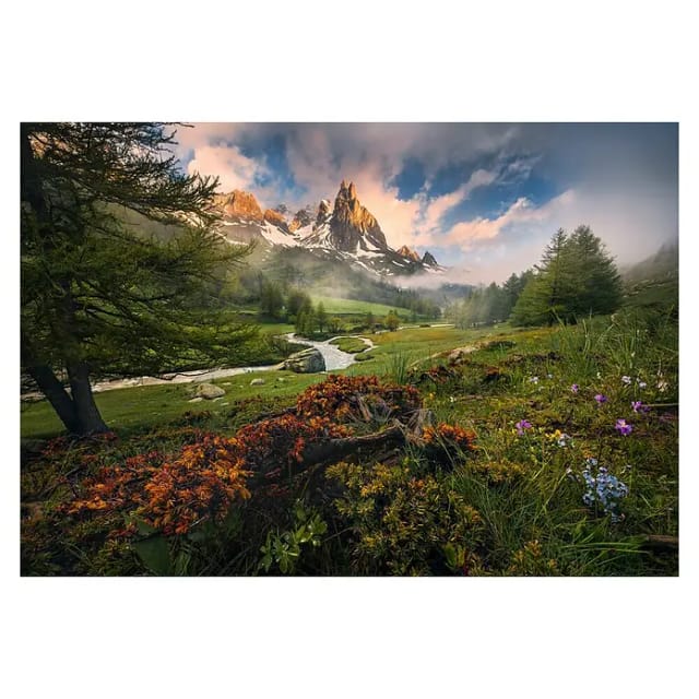Komar Tapete Morning Walk 368 x 254 cm