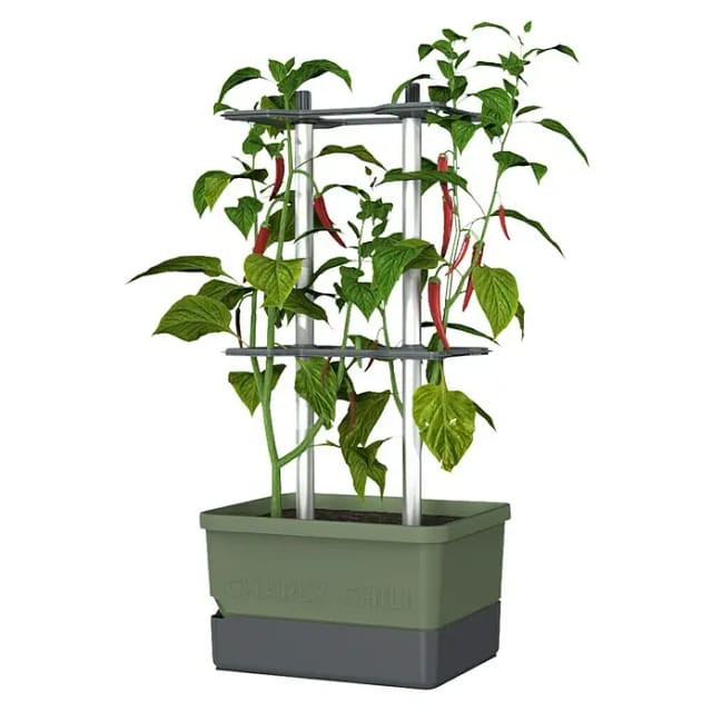 Gusta Garden Anzuchtsgefäß Charly Chili 10 L dunkelgrün
