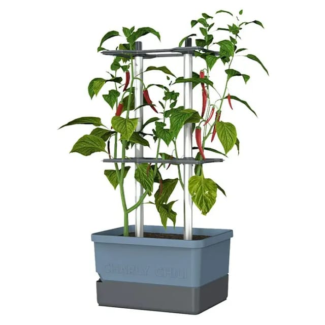 Gusta Garden Anzuchtgefäß Charly Chili 10 L blau