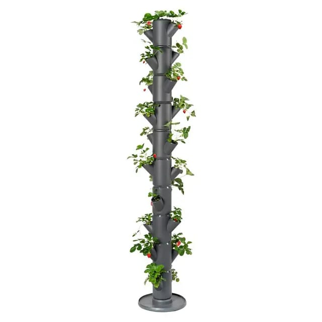 Gusta Garden Erdbeerturm Sissy Strawberry 25 L anthrazit