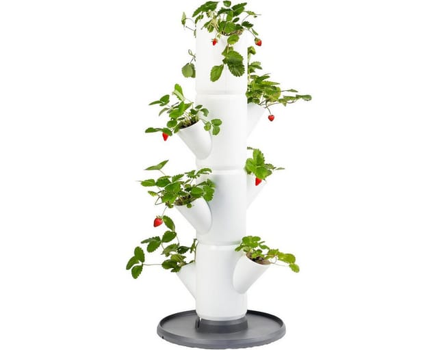 Gusta Garden Erdbeerturm Sissi Strawberry 10 L weiß