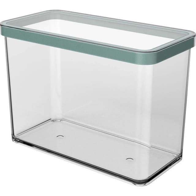 Rotho Dose Loft Premium Rechteckig 2,1, Transparent Mistletoe Green