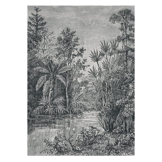 Art for the Home Fototapete Jungle zwart - wit 280 x 200 cm