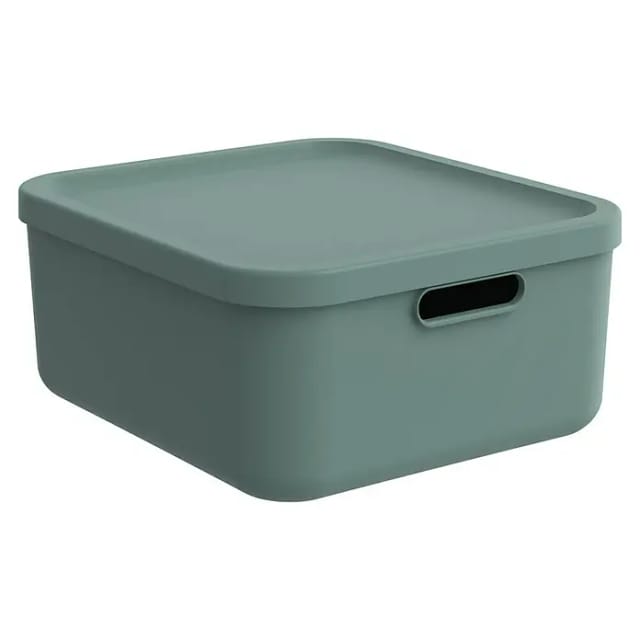 Rotho Multibox Albula 20, Mistletoe Green