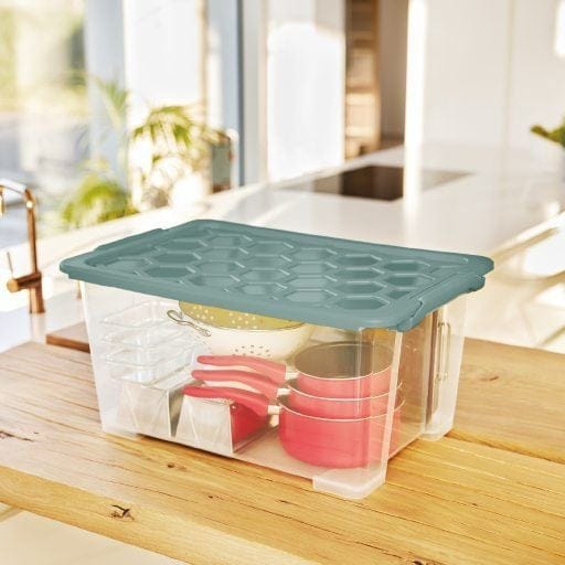 Rotho Box Evo Safe 44, Mistletoe Green