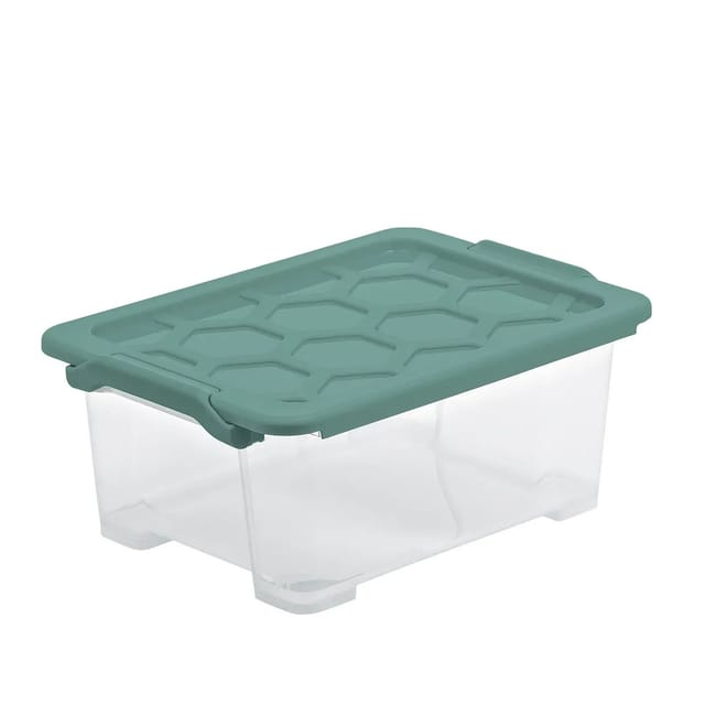 Rotho Box Evo Safe 11, Mistletoe Green
