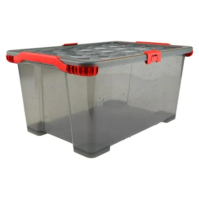 Rotho Box Evo Total 30, Rot