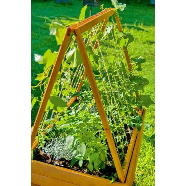 Dobar Rankhilfenaufsatz Kubus 2.0 mit Hanfsträngen 75 cm Hellbraun FSC®