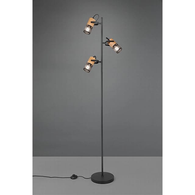 Trio Stehlampe Tosh Schwarz