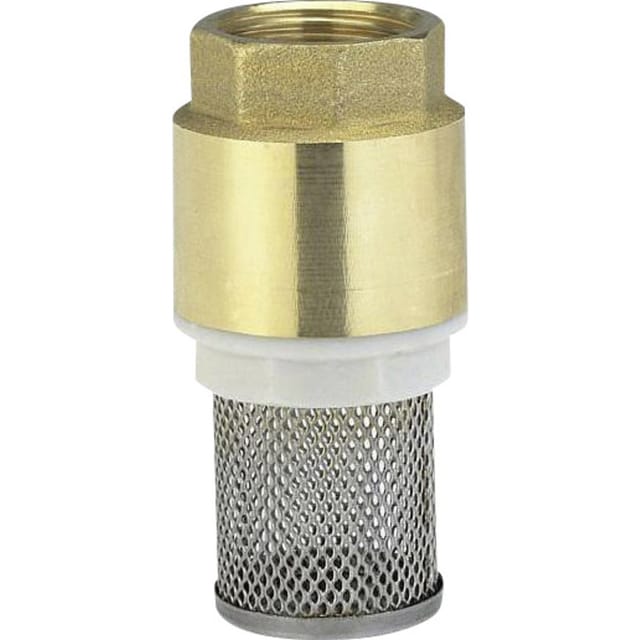 LUX-TOOLS Fußventil mit Saugkorb IG 30,3 mm (Rp 1)