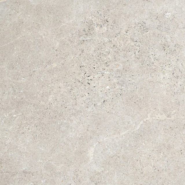 Bodenfliese Feinsteinzeug Kaspio Grau Glasiert Matt 59,8 cm x 59,8 cm