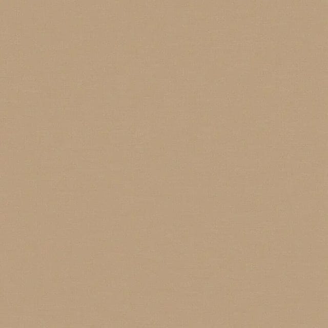 A.S. Creation Vliestapete Uni Leicht Strukturiert 10,05 m x 0,53 m Braun FSC®