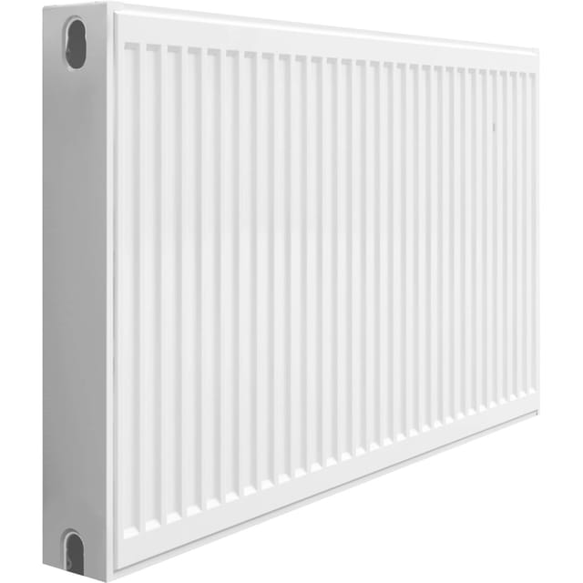 Flachheizkörper 60 cm x 100 cm 1.614 W Mittelanschluss