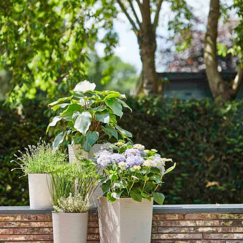 Siena Garden Pflanzgefäß Eco Nizza Grau 30x30x57,0 cm