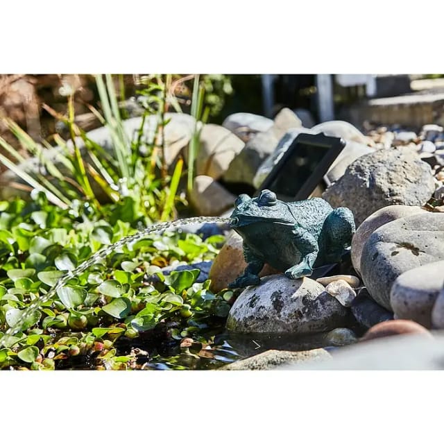 Heissner Teichfigur Frosch Set mit Pumpe 250,/h Solar