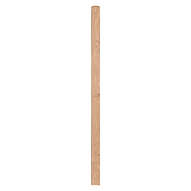Zaunpfosten Quadra natur 9 cm x 9 cm x 185 cm Natur Lackiert